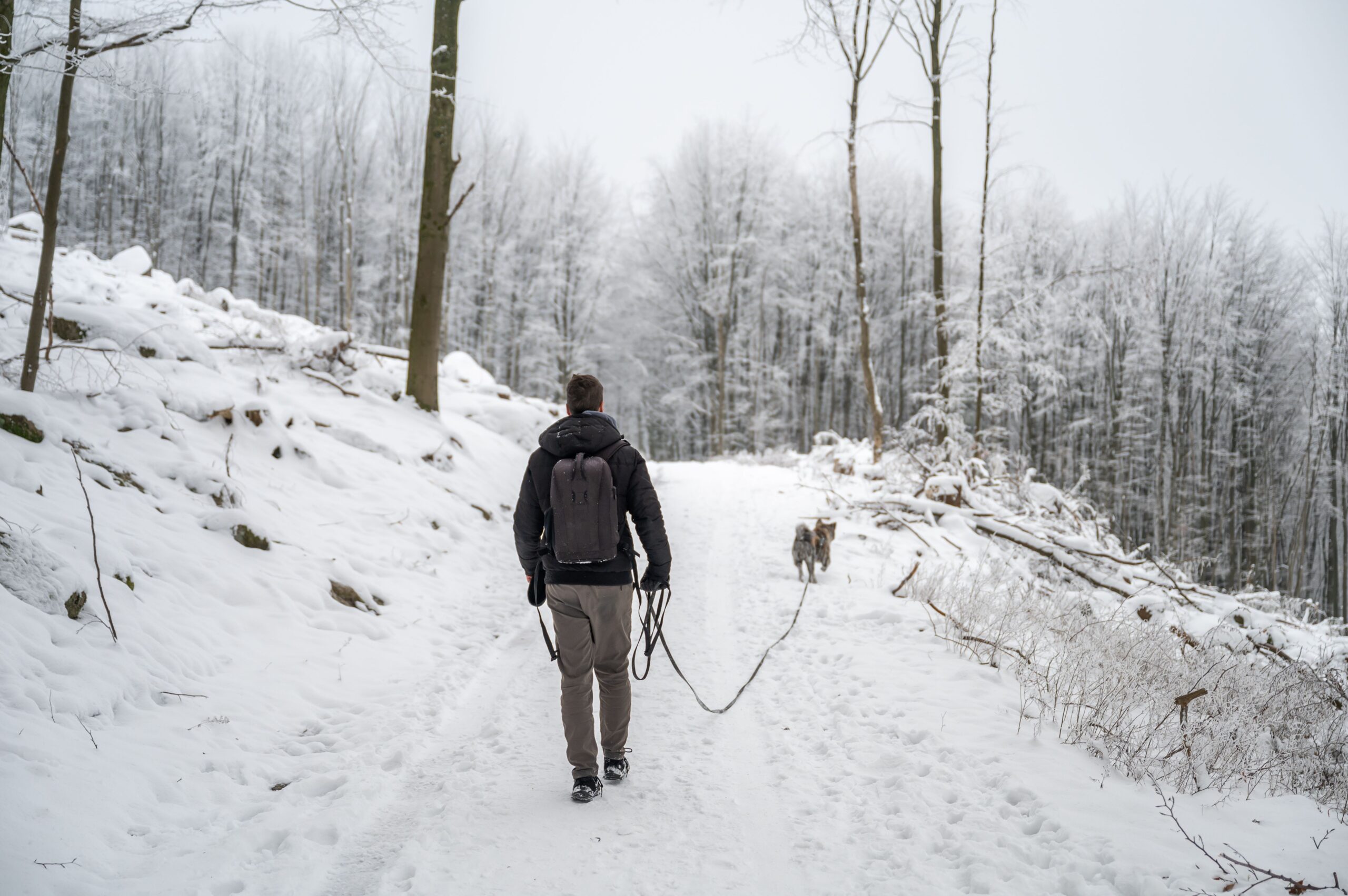 Male dressed in black is walking his pet dog in a winter landscape covered in a blanket of snow